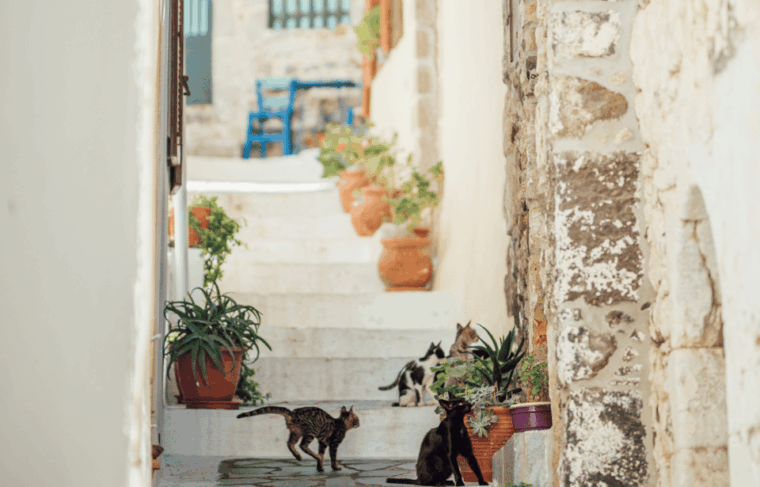 nisyros-day-tour-of-volcanic-splendor-and-timeless-villages