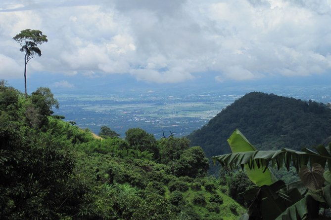 No.1 Chiang Mai: Advanced Downhill Mountain Biking, Suthep N.Park - The Sum Up