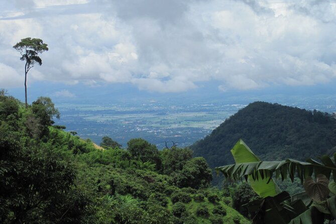 No.1 Chiang Mai: Advanced XC Downhill Biking, Doi Suthep N. Park - The Sum Up
