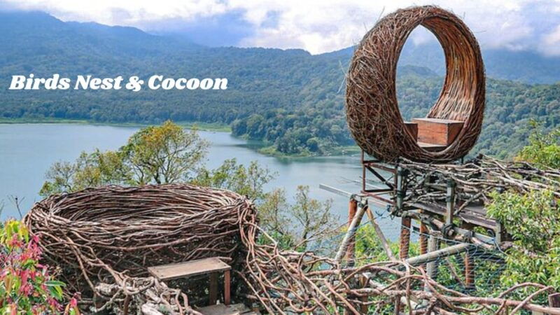 north-bali-full-day-instagram-highlights-tour