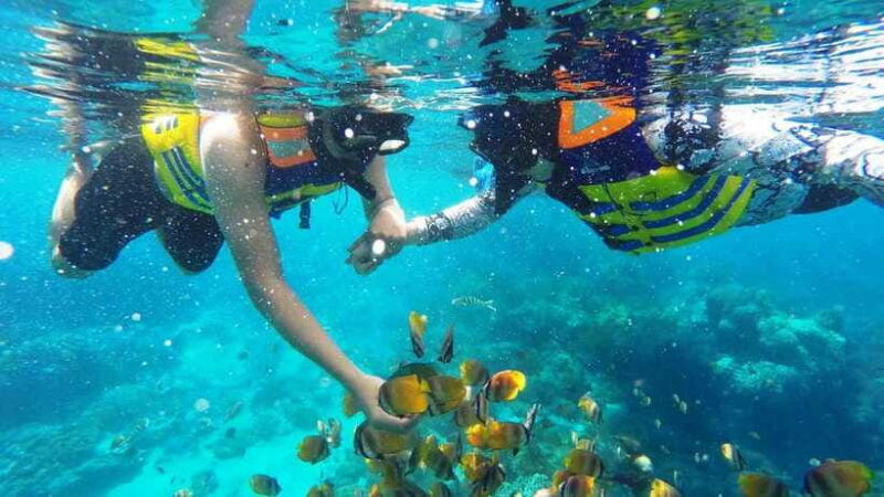 nusa-dua-tanjung-benoa-snorkeling-tour-with-pickup-options
