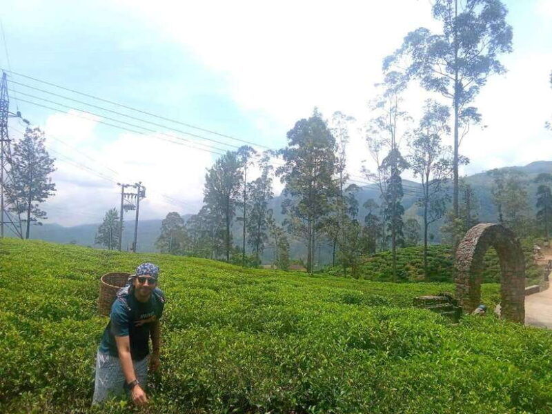 nuwara-eliya-8hours-5waterfalls-2tea-test-pick-temple