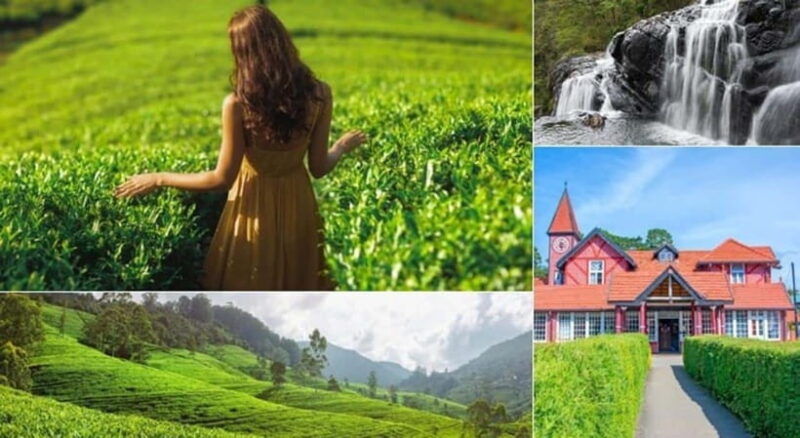 nuwara-eliya-guided-tour-with-tea-factory-visit