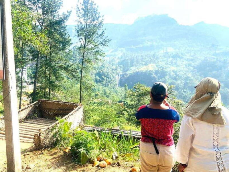 nuwara-eliya-tea-factory-and-pickle-waterfalls-tuk-tuk-tour
