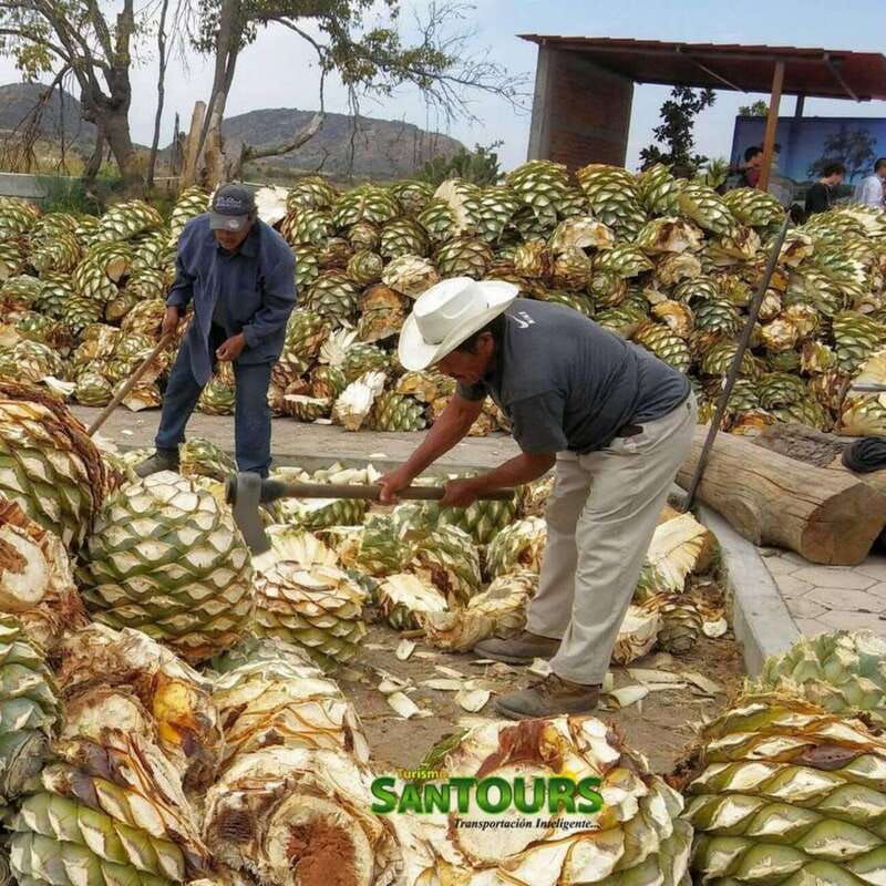 oaxaca-hierve-el-agua-tour