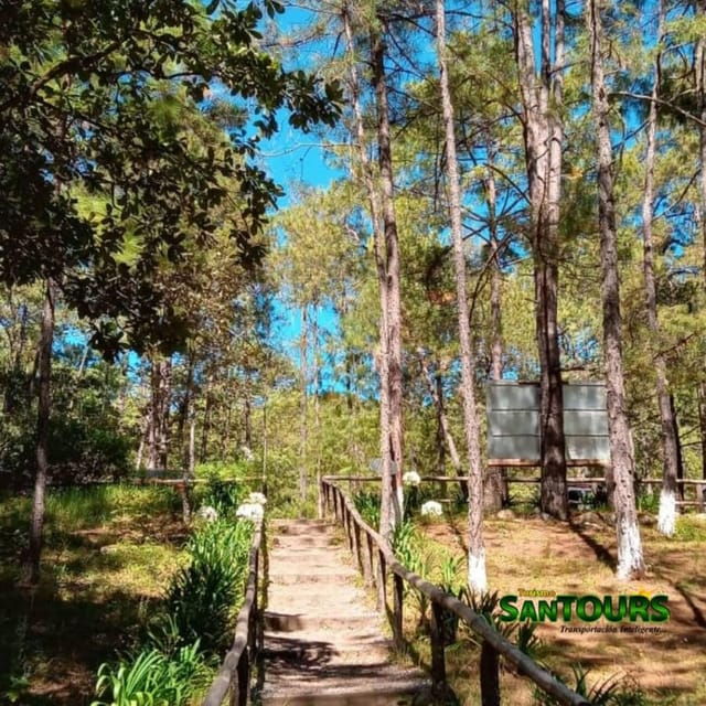oaxaca-monte-alban-archaeological-tour
