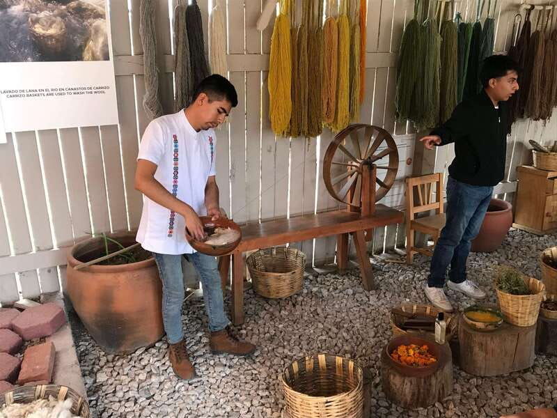 oaxaca-the-tule-tree-teotitlan-village-mezcal-tour