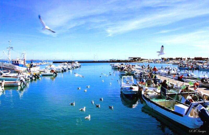 olhao-ria-formosa-3-islands-guided-day-trip-by-boat