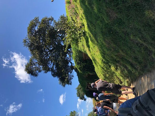 One day Hobbiton Movie set visit from Auckland - Final Thoughts: Is This Tour Worth It?