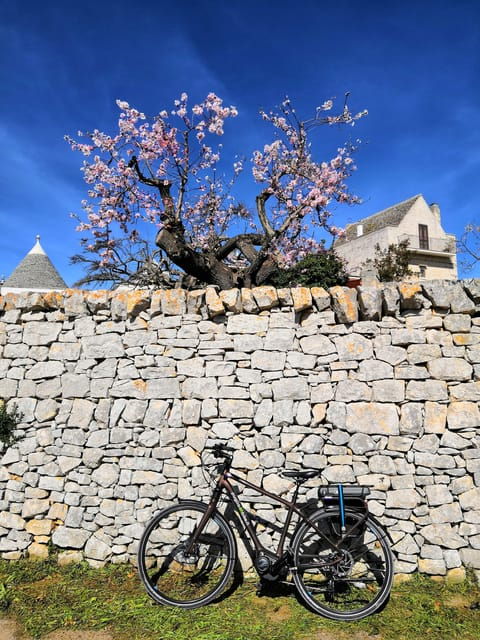 open-guided-bike-tour-in-locorotondo-and-alberobello