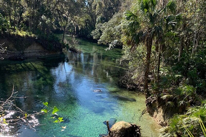 orange-city-blue-spring-state-park-sup-kayaking-tour