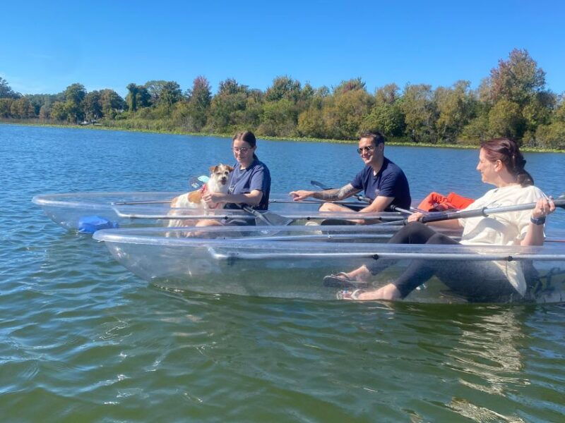 orlando-paddle-with-pups-in-paradise-paddleboard-or-kayak