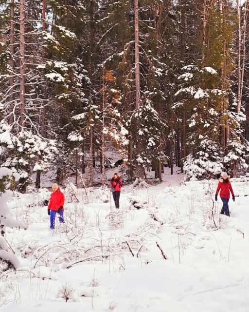 oslo-scenic-hike-with-dog-local-guide