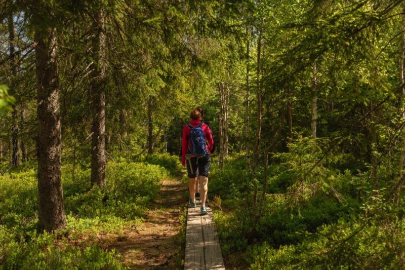 oslo-skjennungstoppen-wildlife-forest-hiking-tour