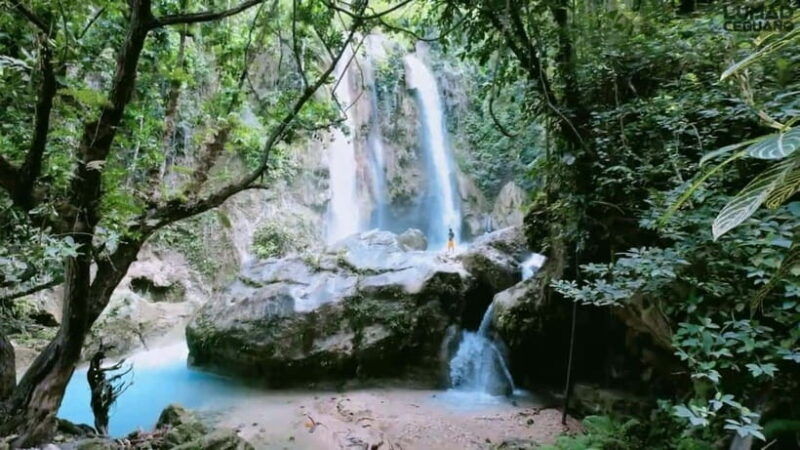 oslob-whale-sharks-inambakan-falls-moalboal-sardines