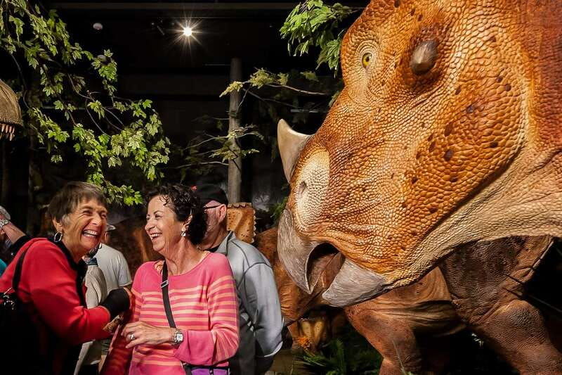 ottawa-canadian-museum-of-nature-admission