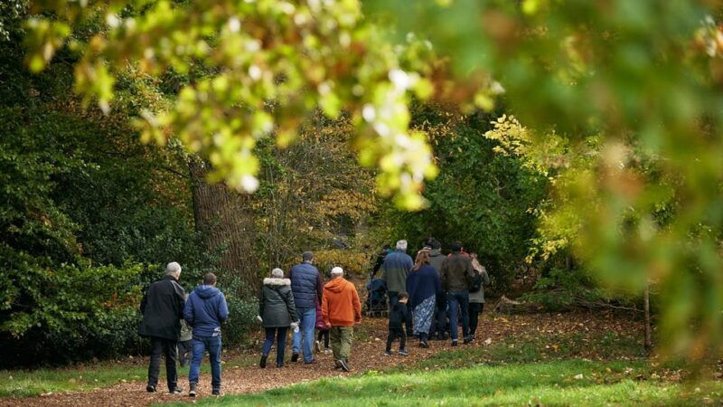 oxford-harcourt-arboretum-entry-ticket