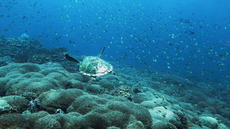 padang-west-sumatra-hoping-island-fullday-tour