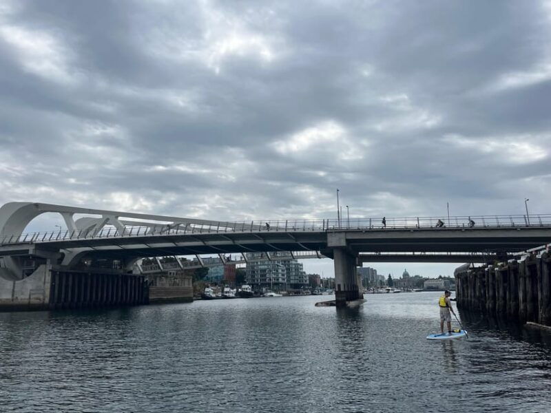 paddle-the-heart-of-downtown-victoria