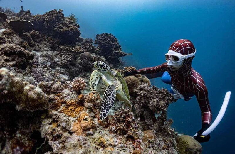 panglao-freediving-adventure-with-sardine-run-photos