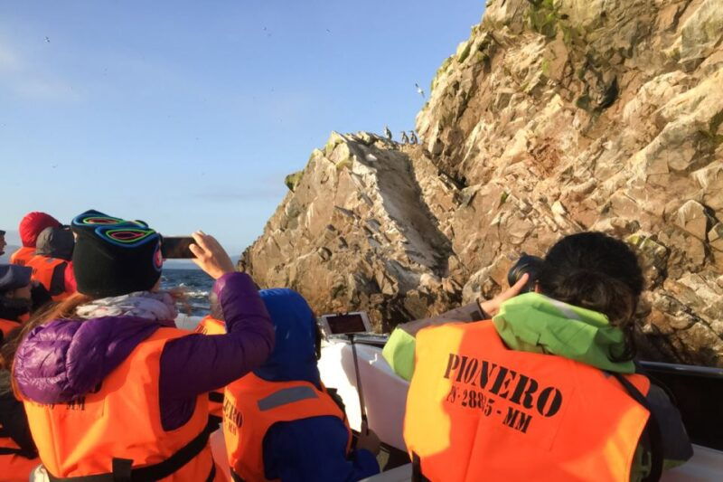 paracas-ballestas-islands-morning-boat-tour