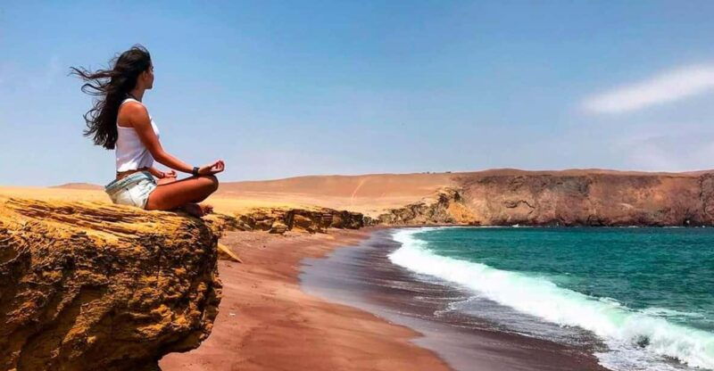 paracas-ballestas-islands-paracas-reserve-full-day