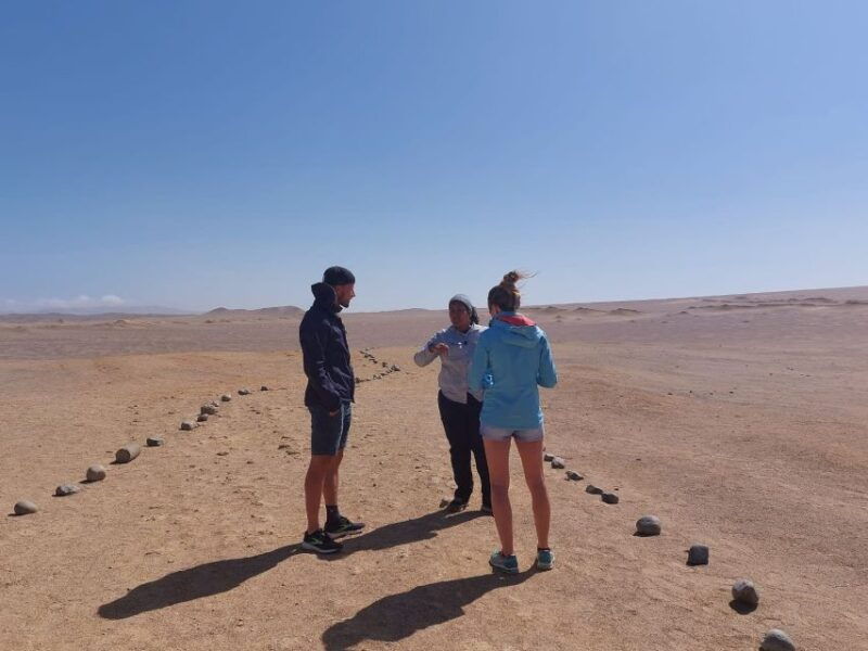 paracas-paracas-national-reserve-half-day-tour