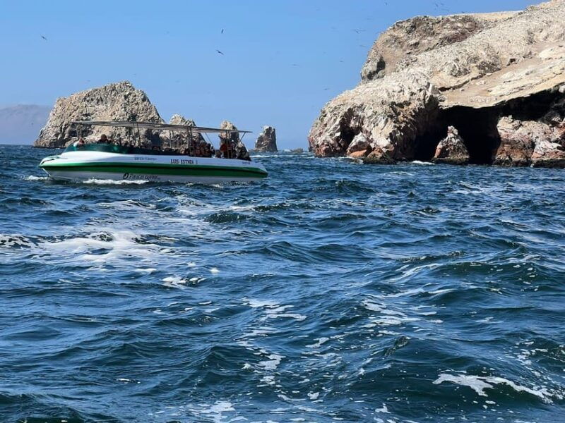 paracas-speedboat-ballestas-islands-tour