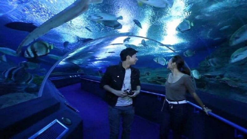 pattaya-underwater-world-pattaya-aquarium-admission-ticket