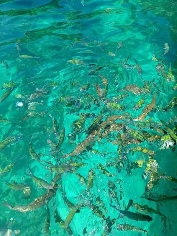 phi-phi-islands-private-longtail-boat-6-hour-trip