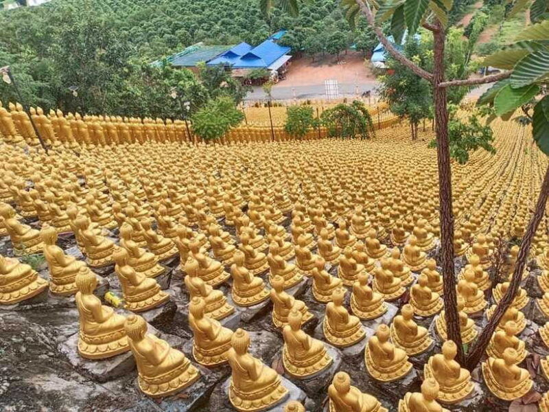 phnom-penh-buddha-kiri-and-phnom-tamao-zoo-private-day-trip