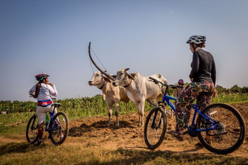 phnom-penh-mekong-islands-silk-islands-guided-bike-tour