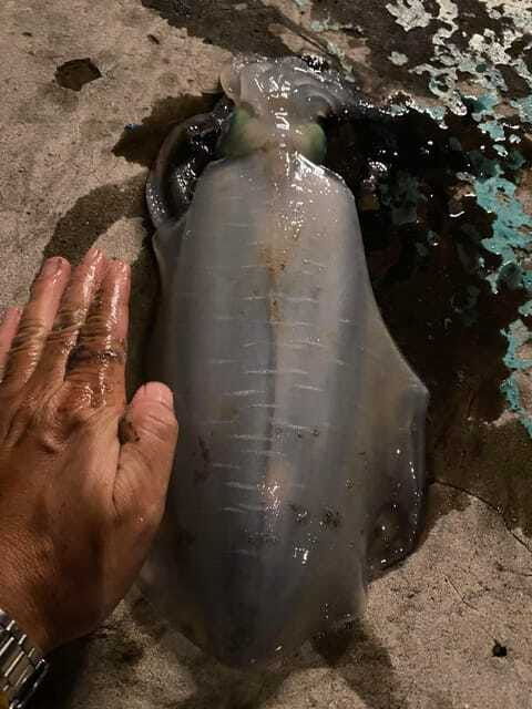 phu-quoc-island-cruise-tour-sunset-dinner-and-squid-fishing