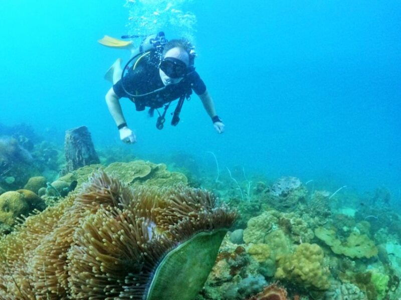 phu-quoc-scuba-diving-experience-for-all-levels