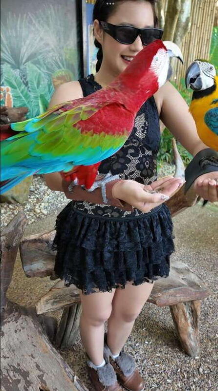 phuket-bird-park-entry-ticket