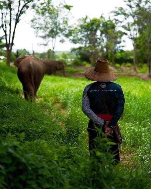 phuket-elephant-nature-reserve-entry-ticket-and-guided-tour