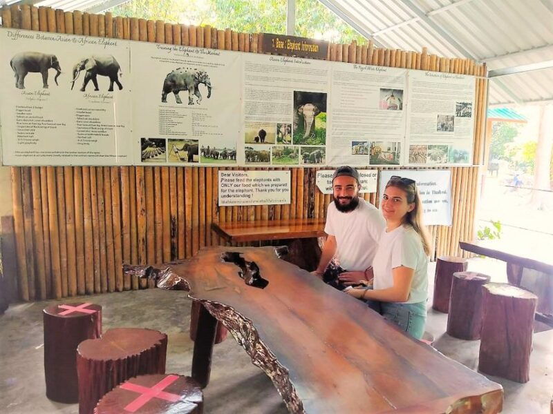 phuket-khao-sok-private-elephant-day-care-and-bamboo-raft