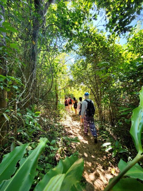 phuket-lookouts-tour-with-lunch-at-organic-farm