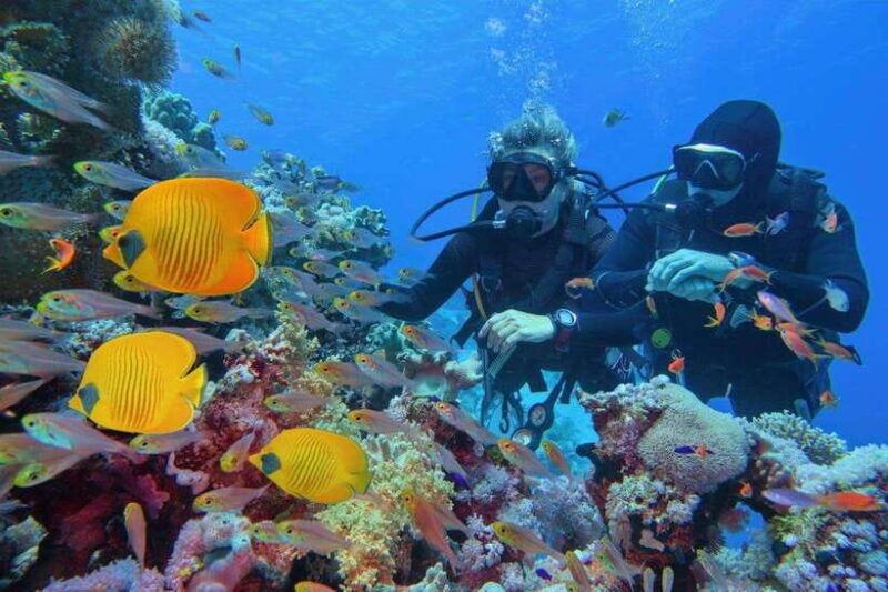 phuket-phi-phi-islands-shark-point-certified-scuba-dives