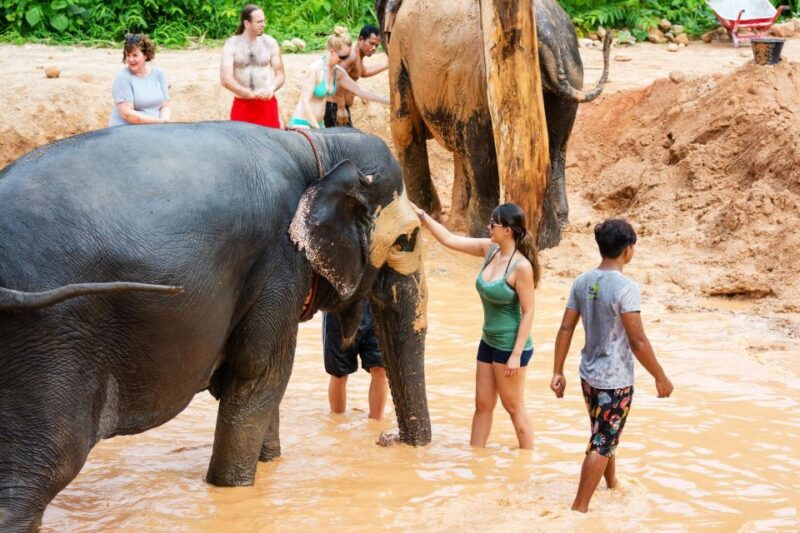 phuket-phuket-elephant-sanctuary-wat-chalong-more