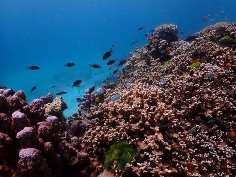 phuket-premium-tour-to-racha-islands-with-snorkel-lunch