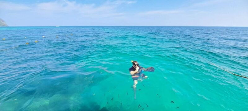 phuket-to-phi-phi-full-day-luxury-speed-boat-charter