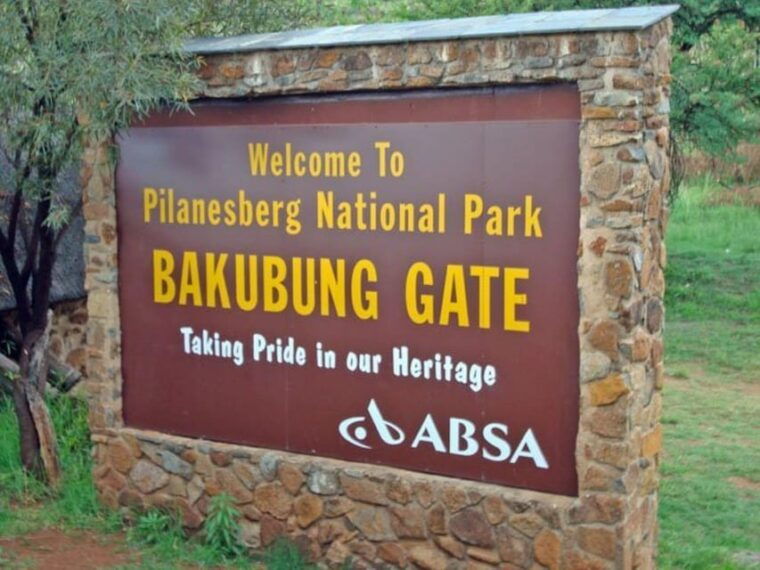 pilanesberg-game-reserve-safari-with-pickup-in-johannesburg