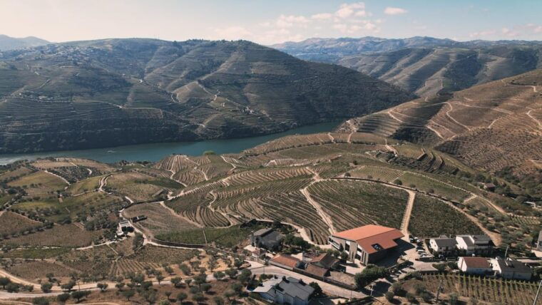 pinhao-quinta-da-formigosa-vineyard-tour-and-wine-tasting