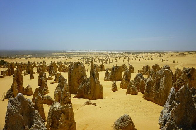 Pinnacles Desert Private Tour - Final Thoughts