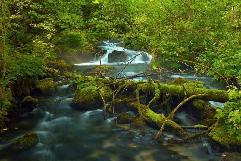 plitvice-lakes-private-guided-tour-2