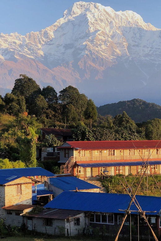 pokhara-3-day-astam-dhampus-and-australian-camp-trek-2