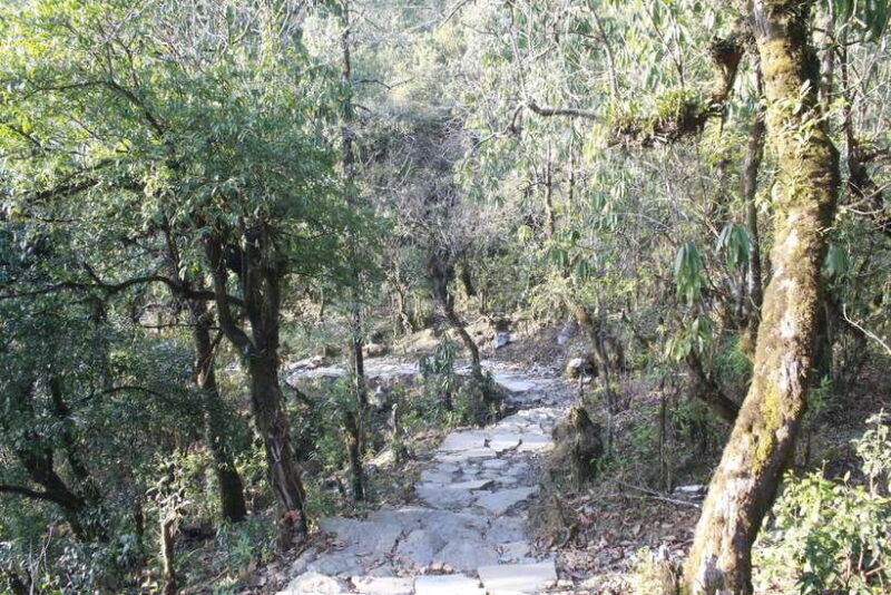 pokhara-3-day-astam-dhampus-and-australian-camp-trek