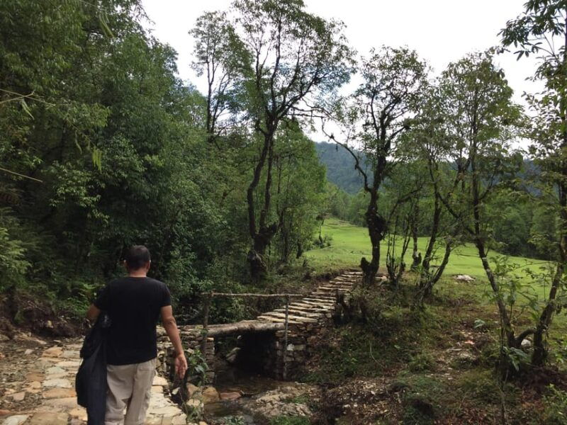 pokhara-3-day-australin-camp-dhampus-ghandruk-easy-trek