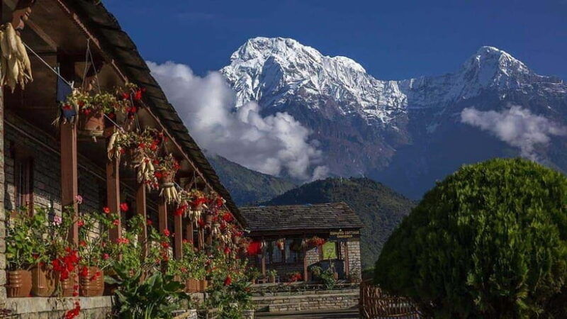 pokhara-4-day-ghorepani-poonhill-ghandruk-mountain-trek